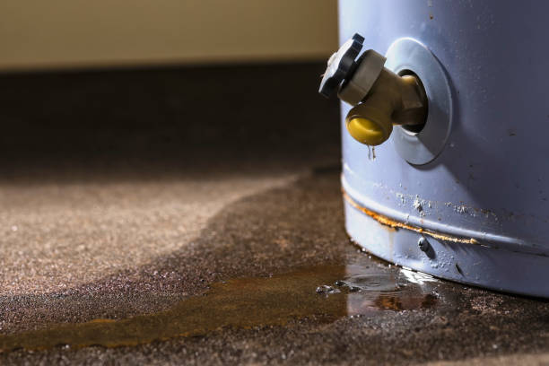 Best Basement water damage restoration  in Ashland, VA