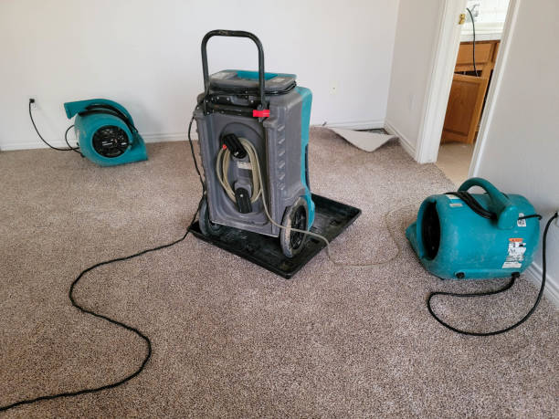 Best Fire Damage Restoration  in Ashland, VA