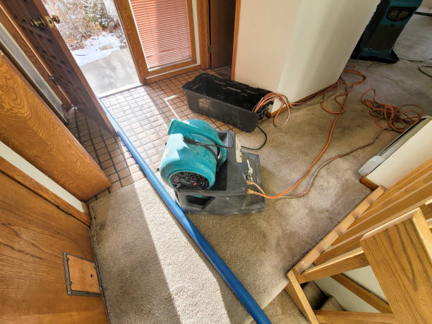 Best Basement water damage restoration  in Ashland, VA