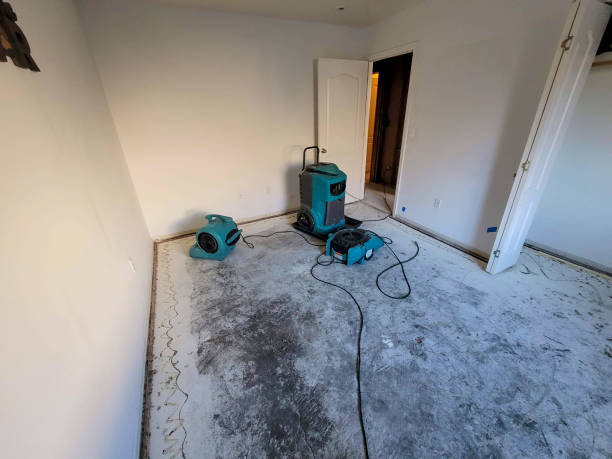 Best Flood damage cleanup  in Ashland, VA