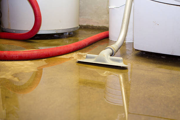 Best Sewage cleanup and water damage restoration  in Ashland, VA