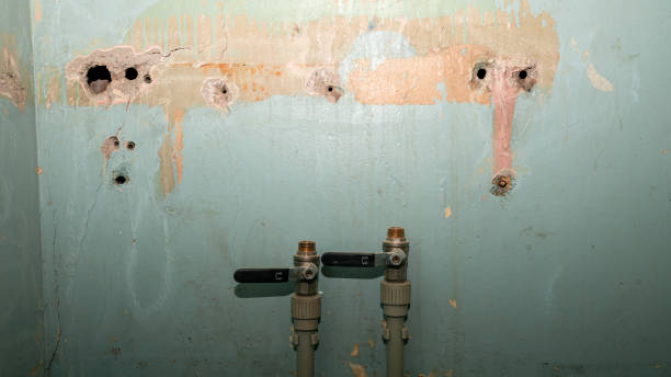 Best Water damage restoration company  in Ashland, VA